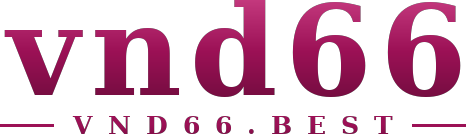 vnd66 logo